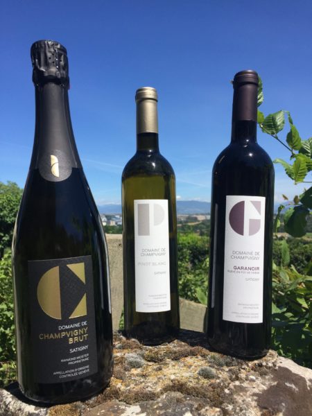 Le domaine de champvigny